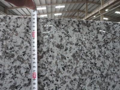 Popular White Granite, Granite Tiles and Granite Slabs