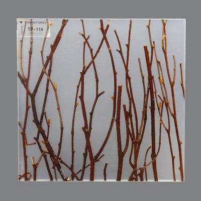 Flexible Acrylic Sheet Thick 6mm Acrylic Panels for Office Dental