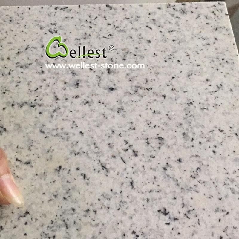Popular White Rose Granite Slab and Tile