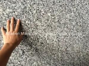 Popular Granite Color Swan White for Affordable Counter Vanity Tops