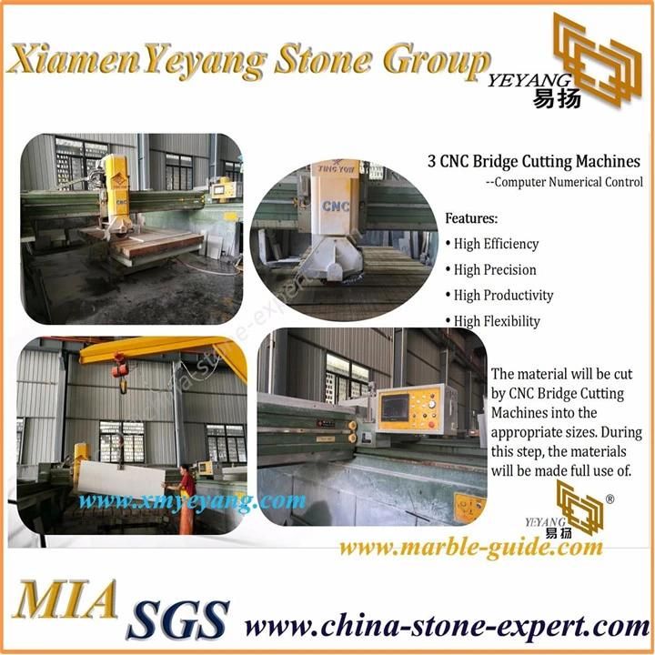 Natural Stone Slab Kitchen Countertop Granite Top/Worktop/Vanity/Table/Top Granite