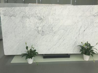 Popular White Marble for Floor and Wall Tiles