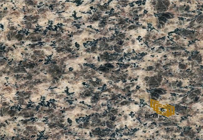 Quality Granite Zhangpu Granite for Tiles/Wall/Flooring Leopard Skin Stone