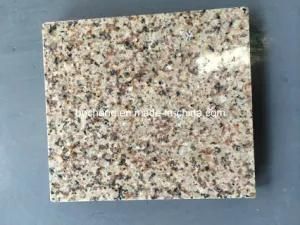 Beautiful Polished Granite Golden Leaf From India