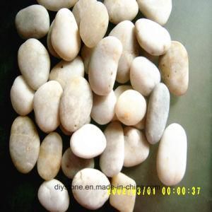 Top High Quality White River Stone