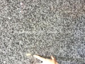 Cheap Price China Big Flower White Granite Slabs