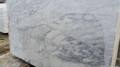 China Top Grey Granite/Calacatta Ocean Grey/Calacatta Ocean Grey Granite for Floor/Background