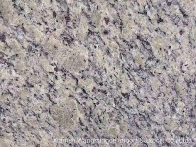Champagne Gold Star Granite with Smooth Surface Use for Outdoor Decoration