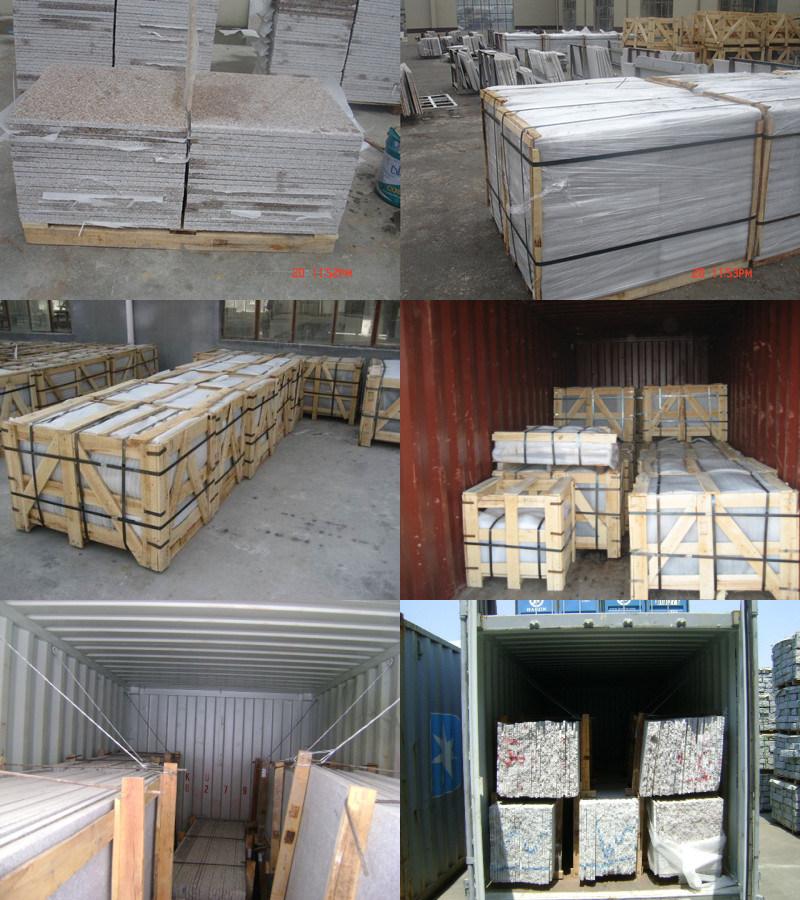 Exported Chinese Provence Gold Marble Slabs with Ce, ISO9001, SGS Approved
