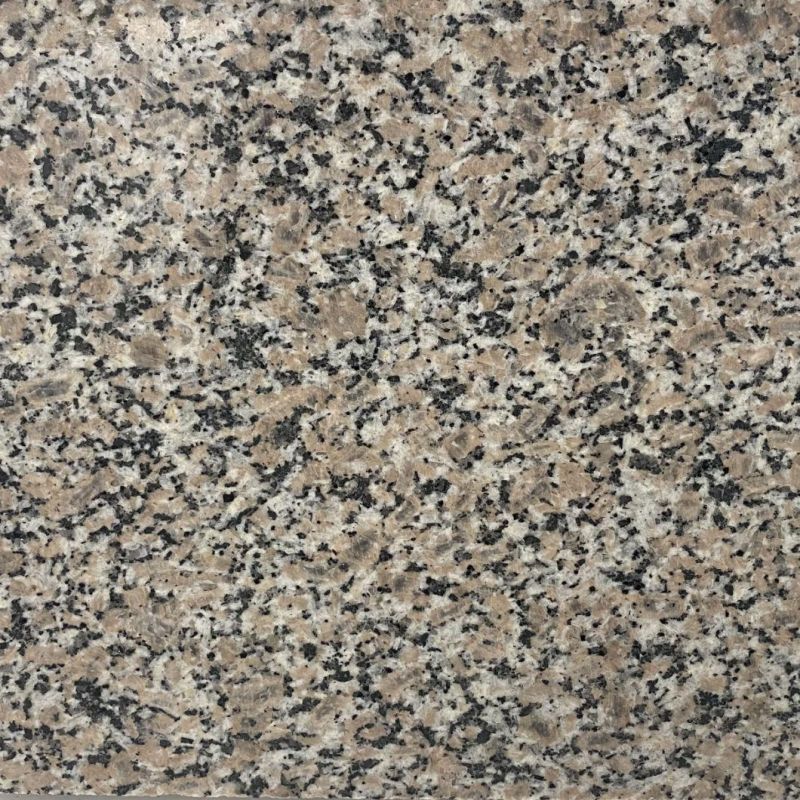 Natural Paving Stone Small Grey Granite Slab for Sale