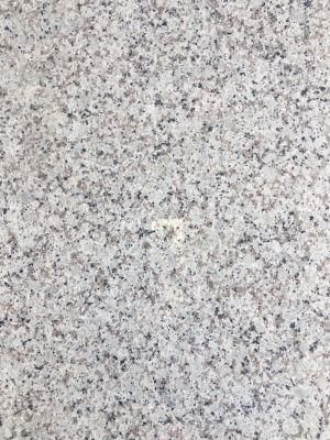 Bala White G438 Chinese Cheap Stone Slabs, Tiles Granite