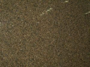 Imported Granite Tropical Brown for Tiles/Countertops/Kitchentops/Hotel/Building Materials