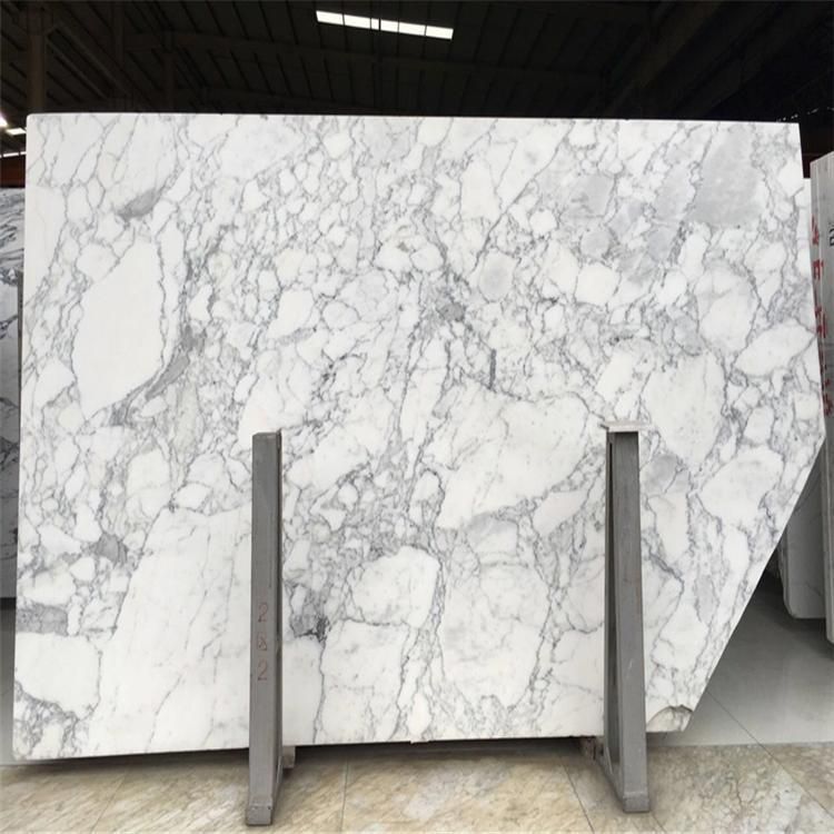 China Cheap Polished White Stone Arabescato Corchia White Marble