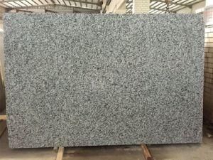Chinese Quality and Cheap Popular Granite for Kitchen Tops/Vanity Tops