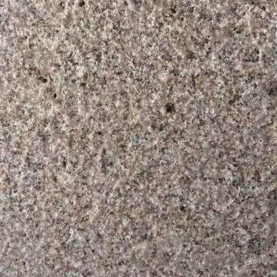 Hot Sale Outdoor Decoration Natural Granite Paving Slabs of Granite