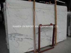 Snow White Crystal White Pure White Marble
