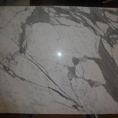High Quality Calaeatta White Marble, Marble Tiles and Marble Slabs