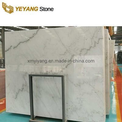 White Marble (With Black Veins) Slabs for Background Wall/Flooring/Walling