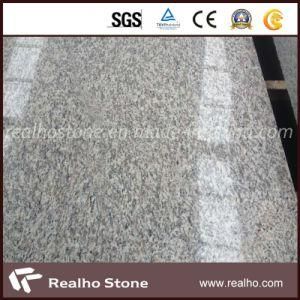 Indoor White Color /Tiger Skin White Granite Flooring