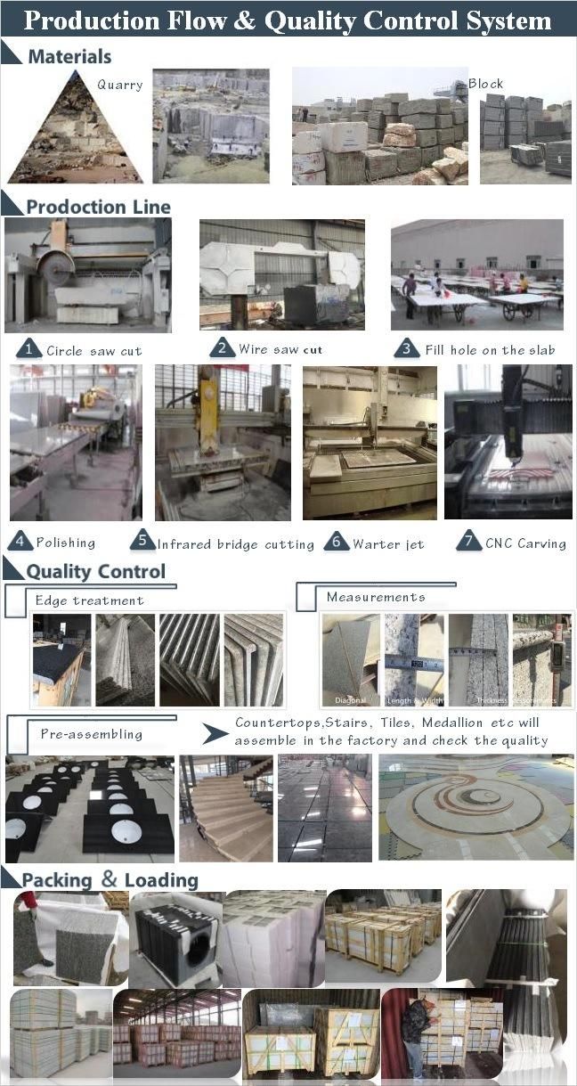 Factory Price G603/G654/G441 Granite Tiles for Swimming Pool Coping