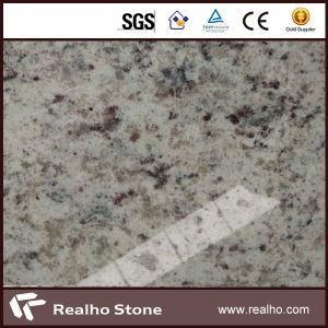 New Arrival White Rose Granite