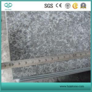 China G684 Granite/Fuding Pearl Black Granite/Flamed Tiles/Slab for Sale
