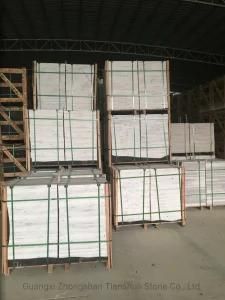 Light Grey Marble Tile Rainforest Marble for Sale