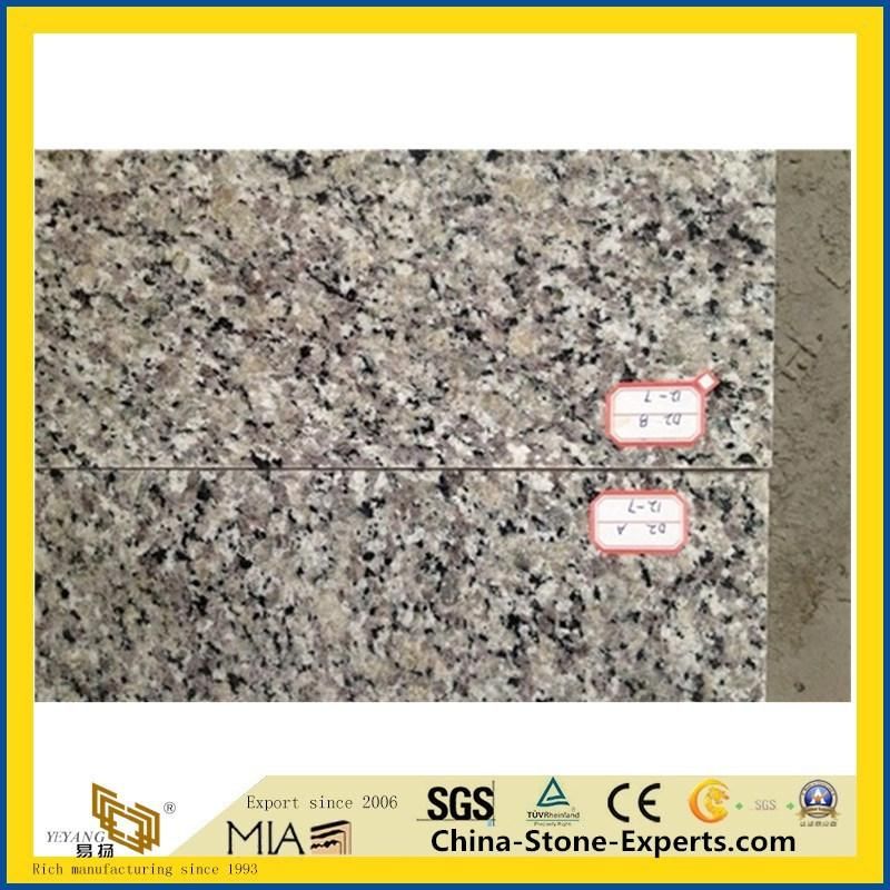 White/Grey Granite Countertops/Countertop for Wall/Flooring/Kitchen/Bathroom/Hotel Project