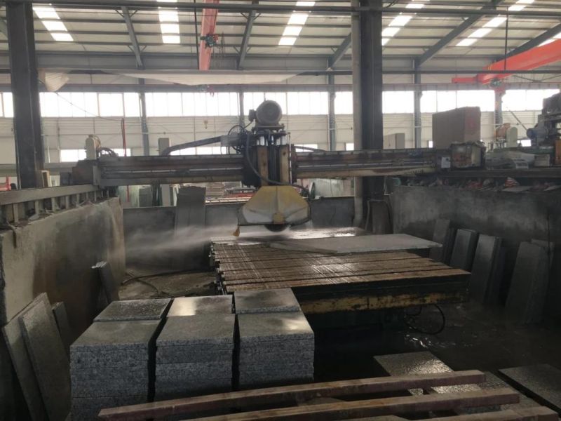 Wholesale Production of All Kinds of Square Pavement, Park Pavement, Landscape Greening Granite Small Plate