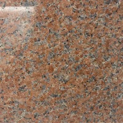 New Cheap Chinese Red and White Granite for Polished and Flamed Stone