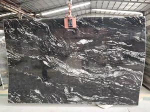 Cosmos Black, Black Astro, Black Marble