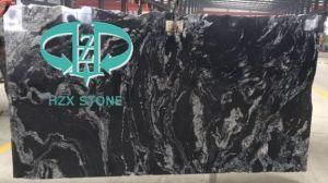 Portoro Black Granite for Building Material