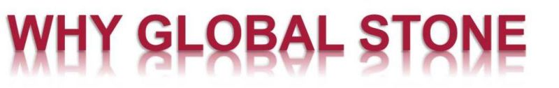 Wholesale Pre-Fabricated Quartz/Marble White/Black/Grey Stone Ubatuba Green Granite Kitchen Countertop/Vanity Tops