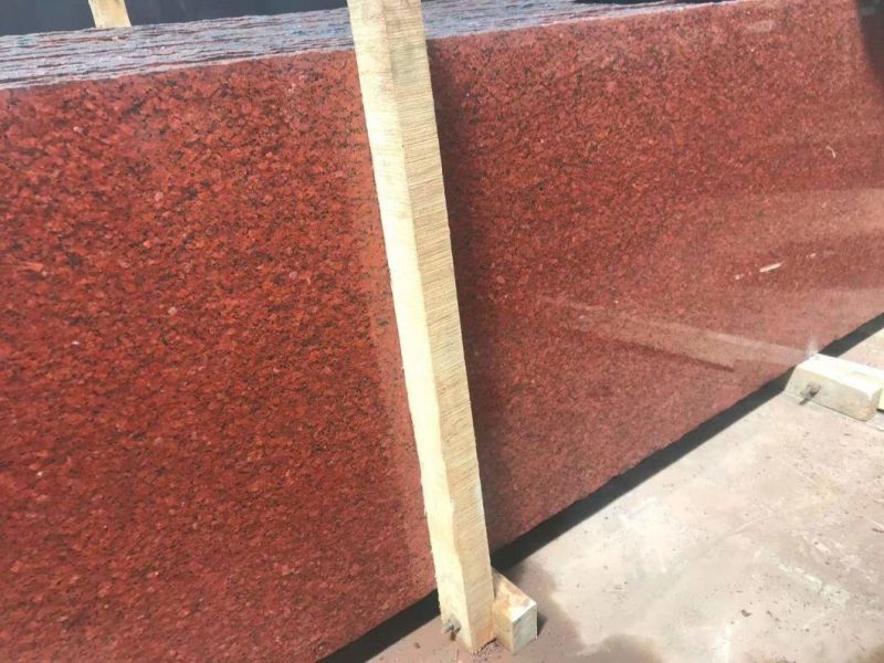 Well Dyed Red Granite Slab and Tiles Big Flower Chinese Factory Direct
