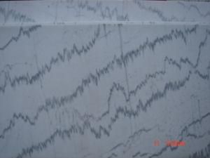 Polished Marble Tiles for Wall Cladding/Flooring
