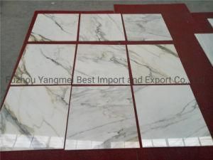 Natural Stone Slab Floor Wall Tile White/Black/Beige/Grey/Travertine/Granite/Marble Tile Solid Surface for Project Slab Flooring