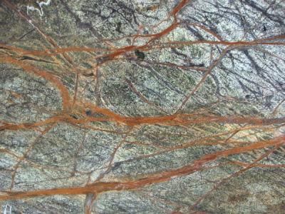 Rain Forest Green/Brown Marble for Vanity Top/Wash Basin/Interior Decoration/Mable Slab