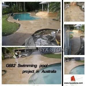 Natural White / Black / Yellow / Multicolor / Grey Granite for Tile, Slab