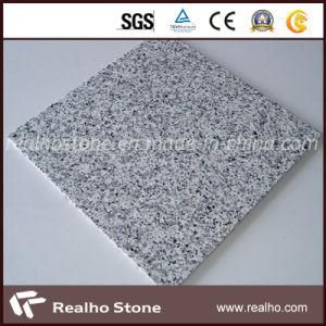 Good Price China Bianco Sardo/Luna Pearl G640 Granite Stone for Projects/Decoration