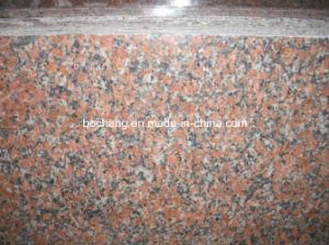 China Polished G562 Red Granite Slab