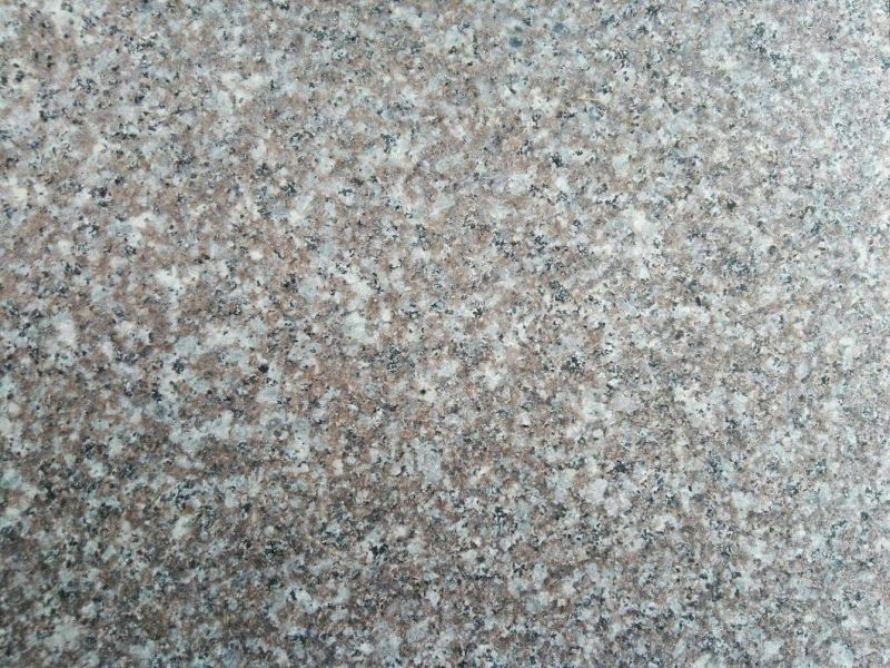 Cheaper Chinese Granite Misty Light Brown G664 with Flamed