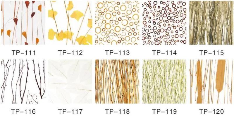 Modern Fashion Design Translucent Acrylic Board for Office Wall