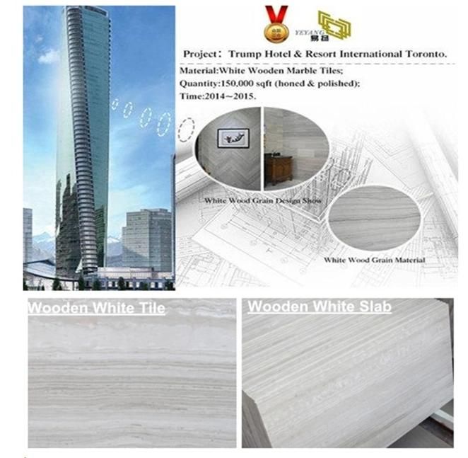Marble Slab/Tile for Floor Wall Tile China Stone Marble Countertop/Vanitytop
