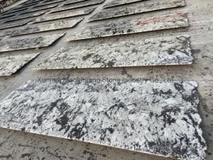 Bianco Splendour White Granite Quartzite Slabs for Kitchen Countertop
