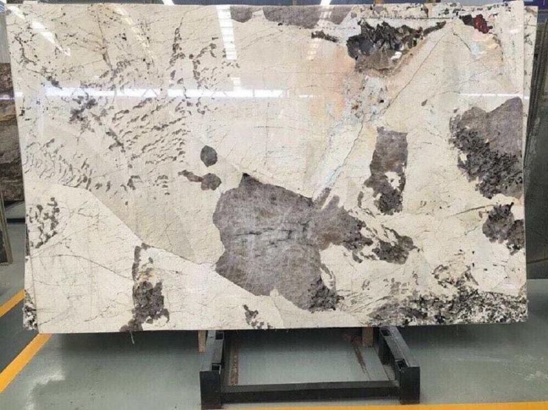 Patagonia Granite Slab for Kitchen Countertop/Worktop/Tabletop/Background