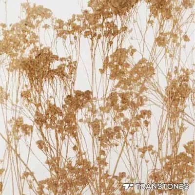 High Quality Customized Size Transparent Cast Acrylic Sheet