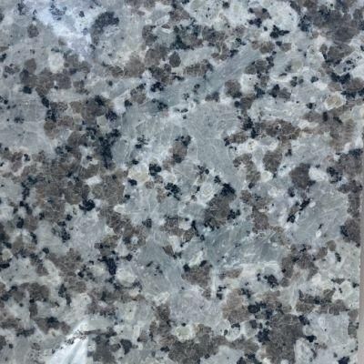 Nero Santiago Wall Decorative Price Per Square Meter of Granite