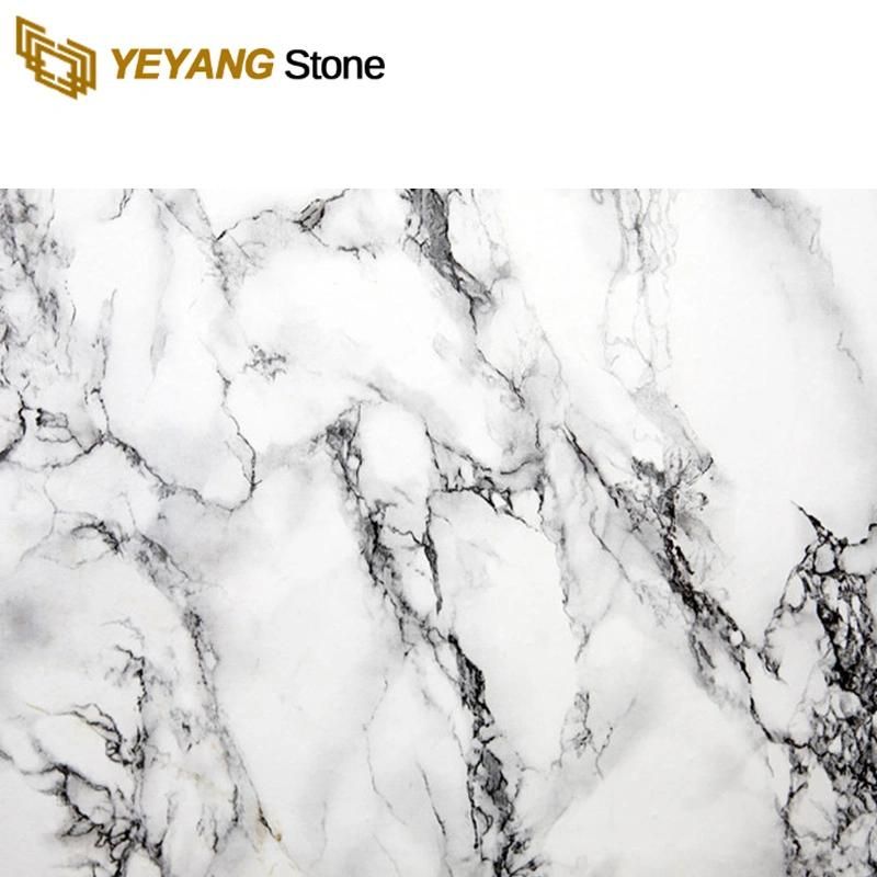 China Natural White/Grey/Black Carrara Slab Marble for Wall/Floor/Tiles/Countertop