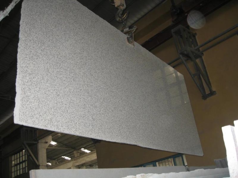 China Top White Granite/G655 White Granite/G655 White Granite for Floor/Background