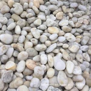 Natural Unpolished White Pebble for Garden and Landscape
